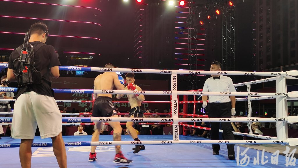 2023�й���ʯ��ׯ���ڶ��죩��ȭ������ �񶷲�ҵ����Ļ